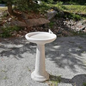 Betoninen lintuallas jalustalla puutarhaan lintujen juoma- ja kylpyaltaaksi.